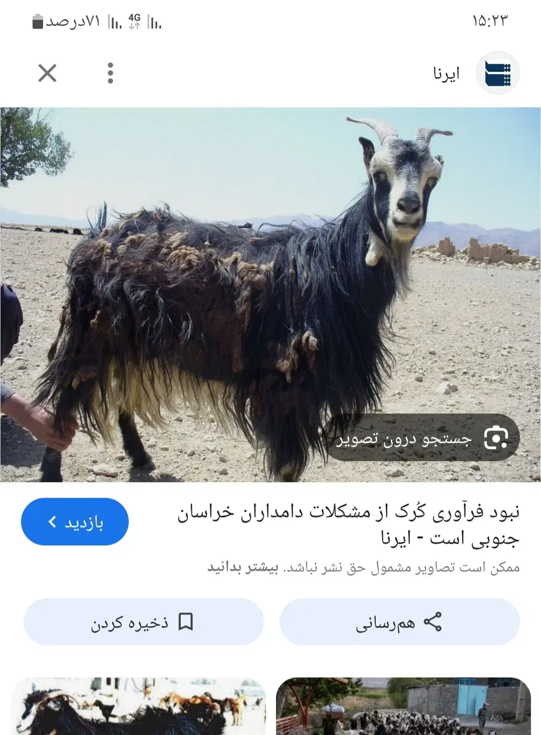 گرگ خالص بز|حیوانات مزرعه|قائن, |دیوار