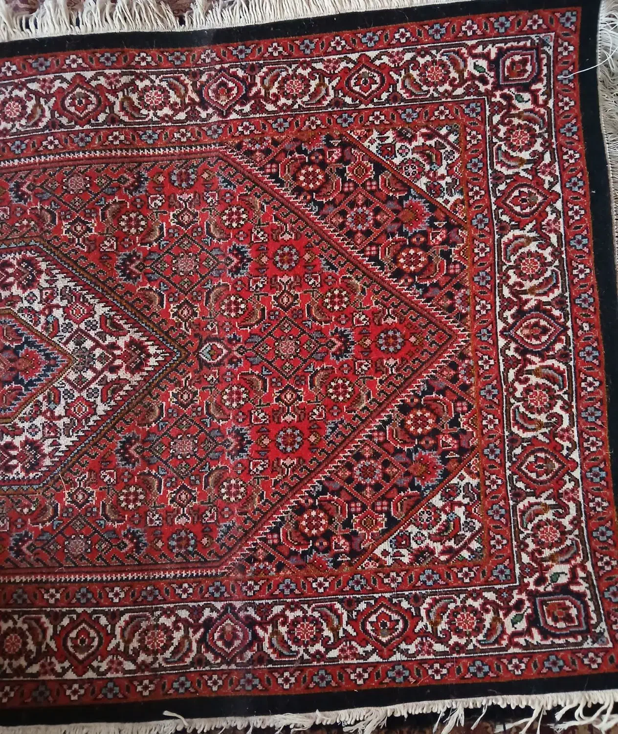 فرش زرچرک|فرش|زنجان, |دیوار