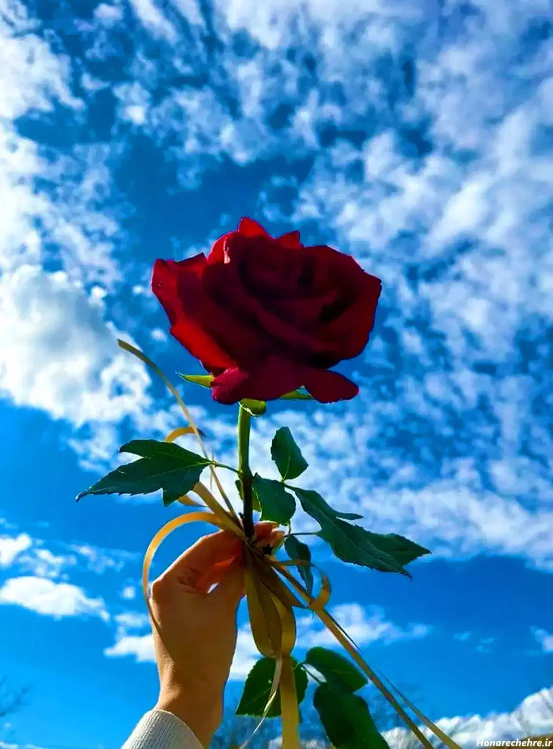 راهنمایی|فعالیت داوطلبانه|قم, زنبیل آباد|دیوار