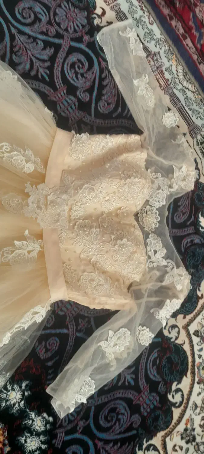 لباس مجلسی|لباس|قم, شهر قائم|دیوار