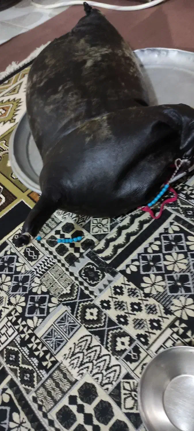 روغن حیوانی با گوسفند|خوردنی و آشامیدنی|زاگرس, |دیوار