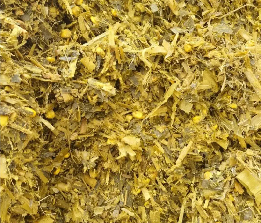 ذرت دام|حیوانات مزرعه|باغ حلی, |دیوار