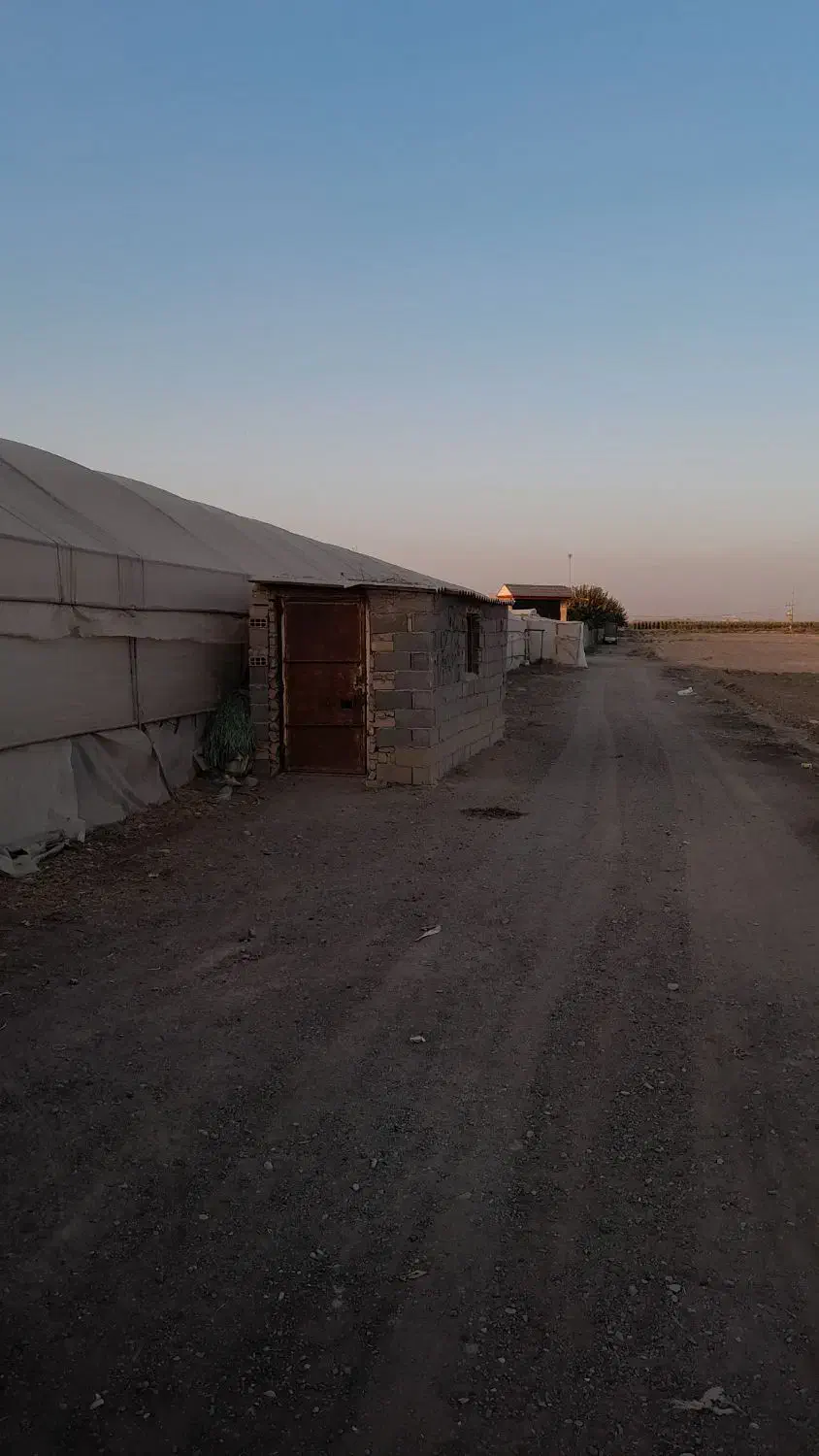 گلخانه فلزی ۴۰۰۰ هزار متر|فروش دفتر صنعتی، کشاورزی، تجاری|شریفآباد, |دیوار