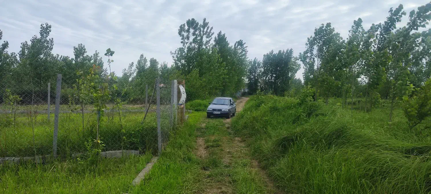 200متر زمین دریاسر|فروش زمین و ملک کلنگی|شلمان, |دیوار