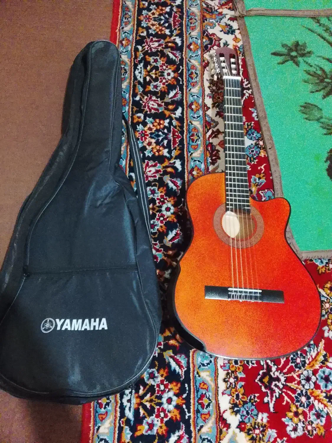 گیتار|گیتار، بیس، امپلیفایر|گرگان, |دیوار