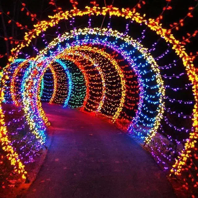 ریسه کریستالی در شیراز|ریسه و چراغ تزئینی|شیراز, فخرآباد (دروازه کازرون)|دیوار