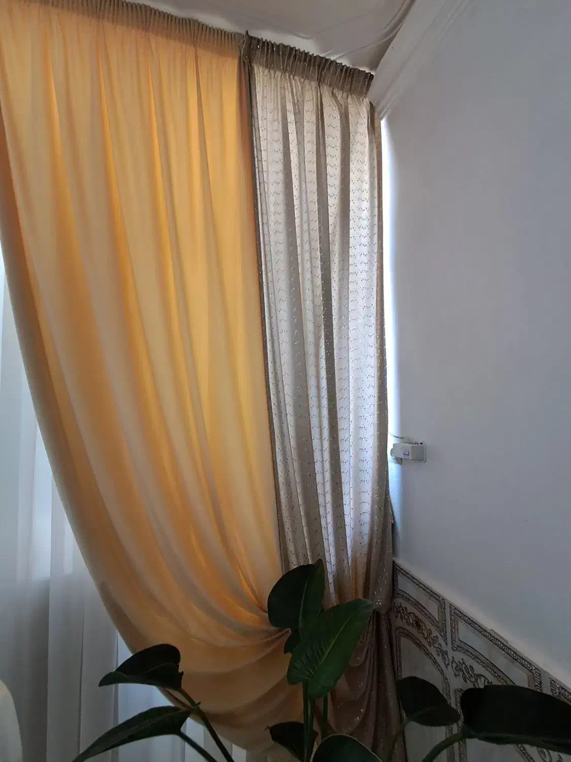 دوتا دستک پرده کرم|پرده، رانر، رومیزی|تربت‌حیدریه, میدان مرکزی|دیوار