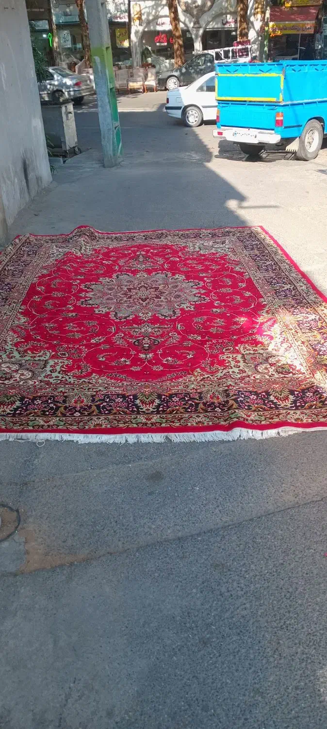 سلام فرش تمیزو سالم|فرش|گرگان, |دیوار