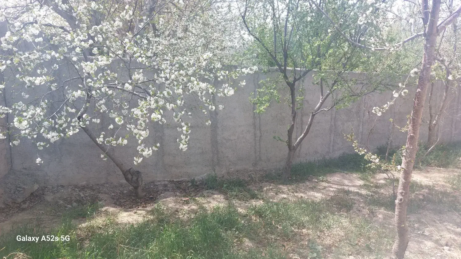 1000 متر زمین به همراه ۲۵ متر بنای قدیمی مهرچین|فروش زمین و ملک کلنگی|تهران, قزل قلعه|دیوار