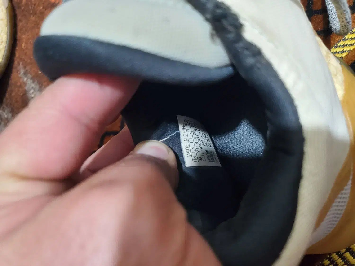 کفش اسپورت|کیف، کفش، کمربند|سلماس, |دیوار