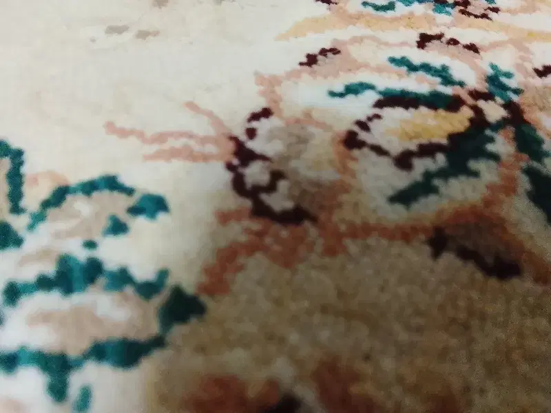جدید|سیم‌کارت|قلعه نو, |دیوار