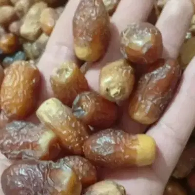 خرما رنگو|خوردنی و آشامیدنی|سراوان, |دیوار