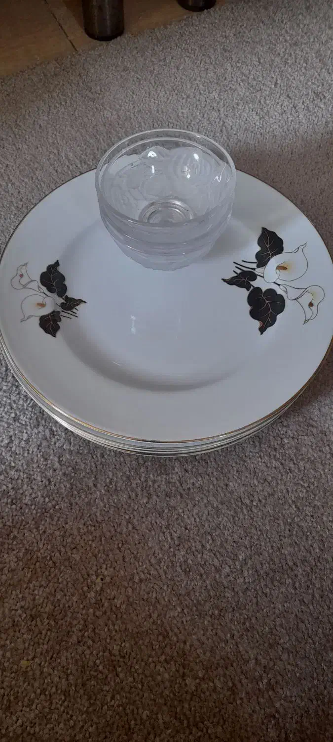 ظروف پذیرایی و کاربردی|ظروف سرو و پذیرایی|امیرکلا, |دیوار