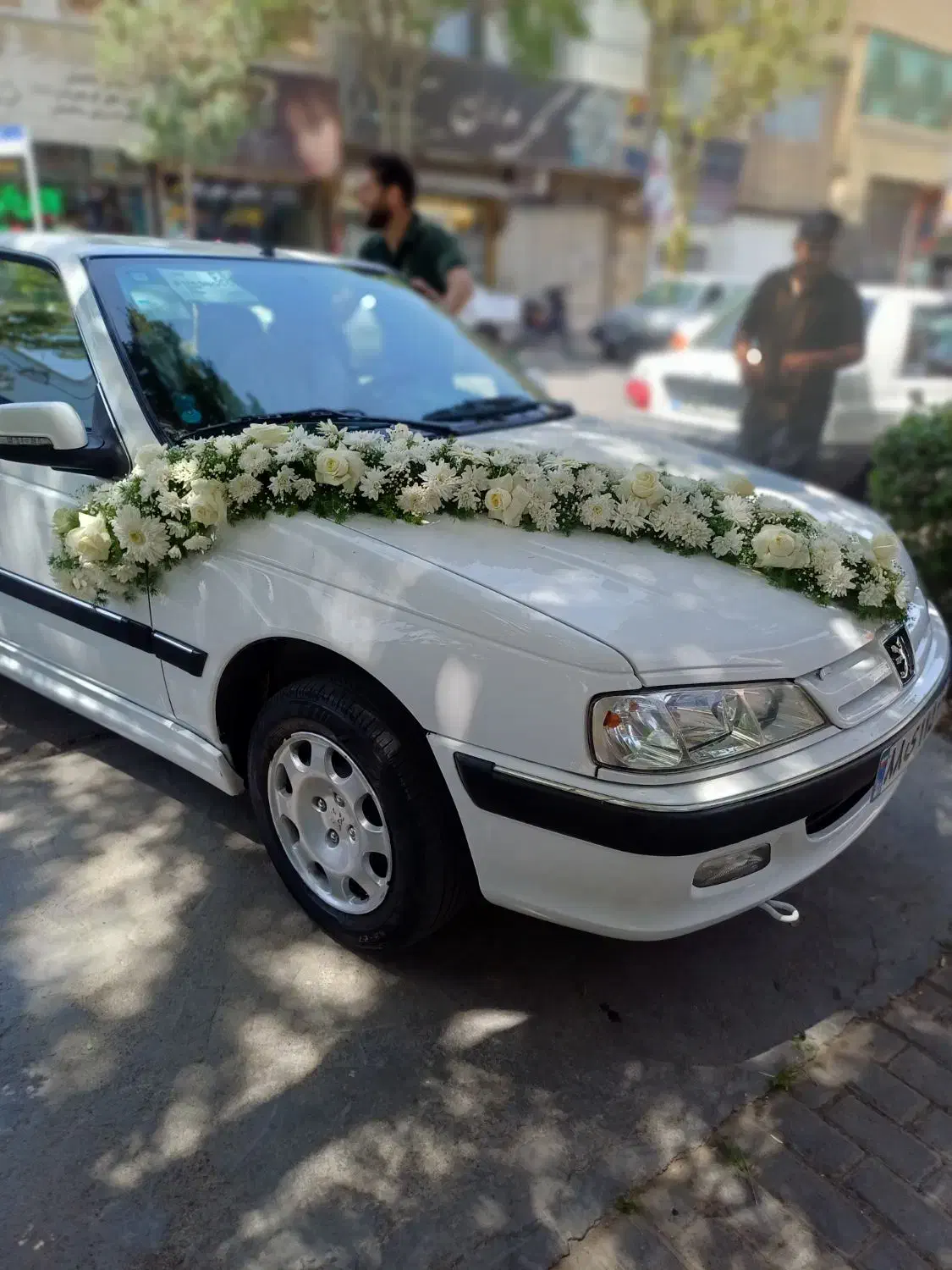 ماشین عروس|گل و گیاه طبیعی|مشهد, رده|دیوار