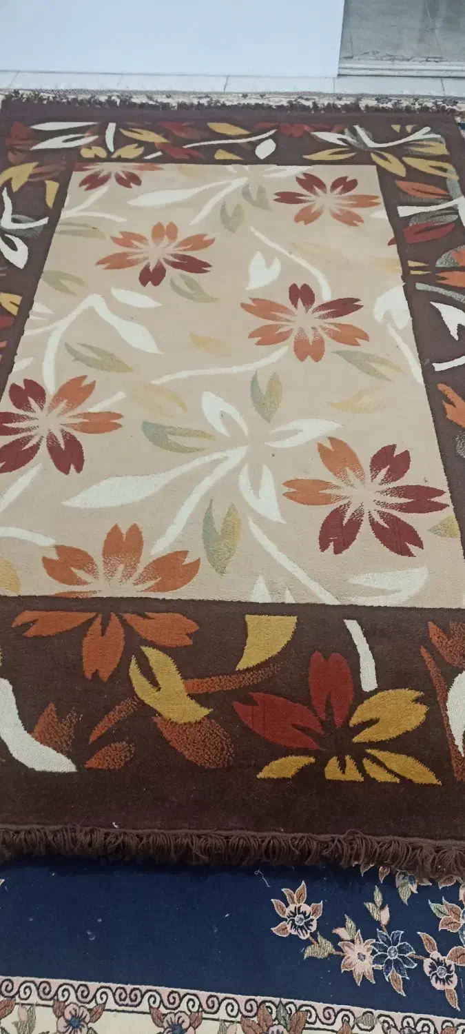 گلیم فرش 6 متری|فرش|پاکدشت, پاکدشت (مامازند)|دیوار