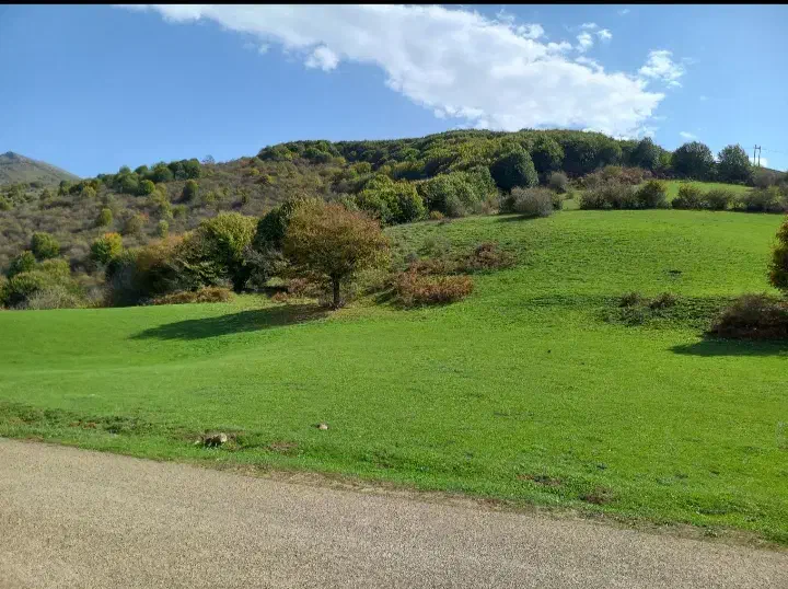 ملک زمین مسکونی بخش عمارلو|فروش زمین و ملک کلنگی|بره‌سر, |دیوار