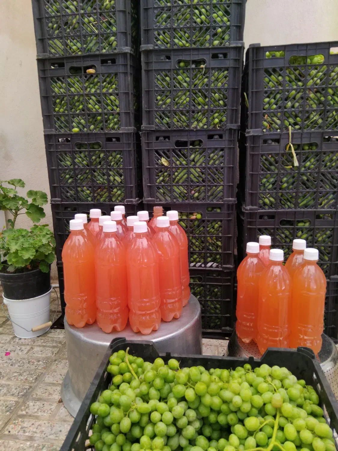 آبغوره کاملاطبیعی|خوردنی و آشامیدنی|کرج, محمود آباد|دیوار