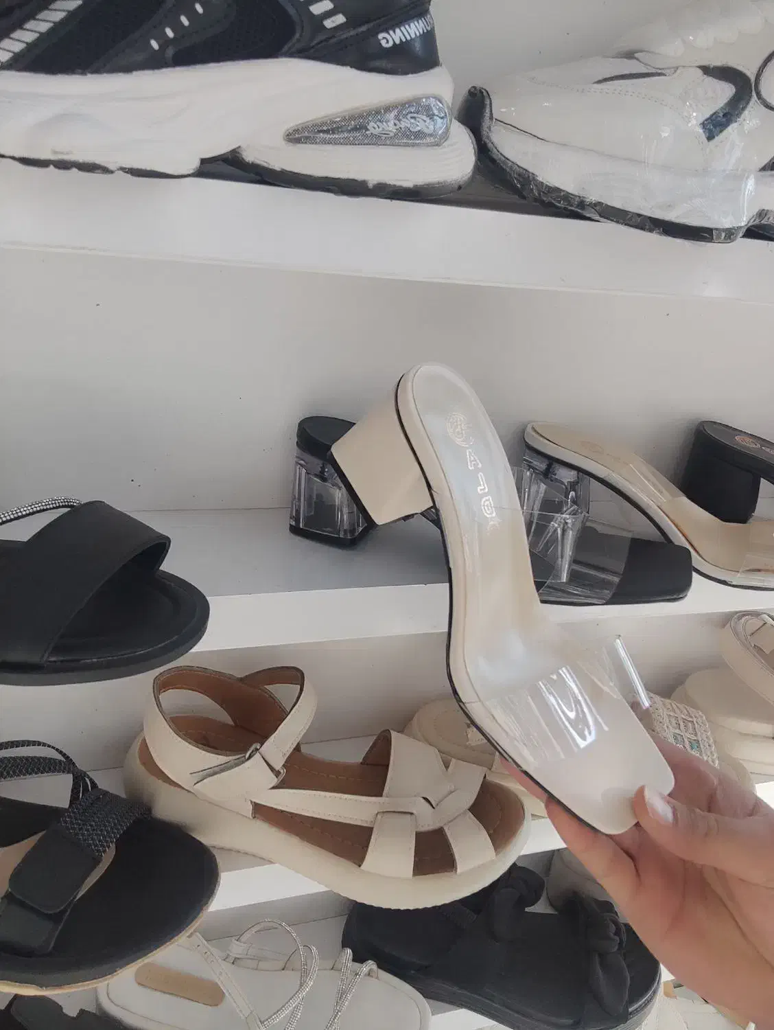 صندل طلقی فقط ۴۸۰|کیف، کفش، کمربند|سبزوار, بیهق شرقی|دیوار