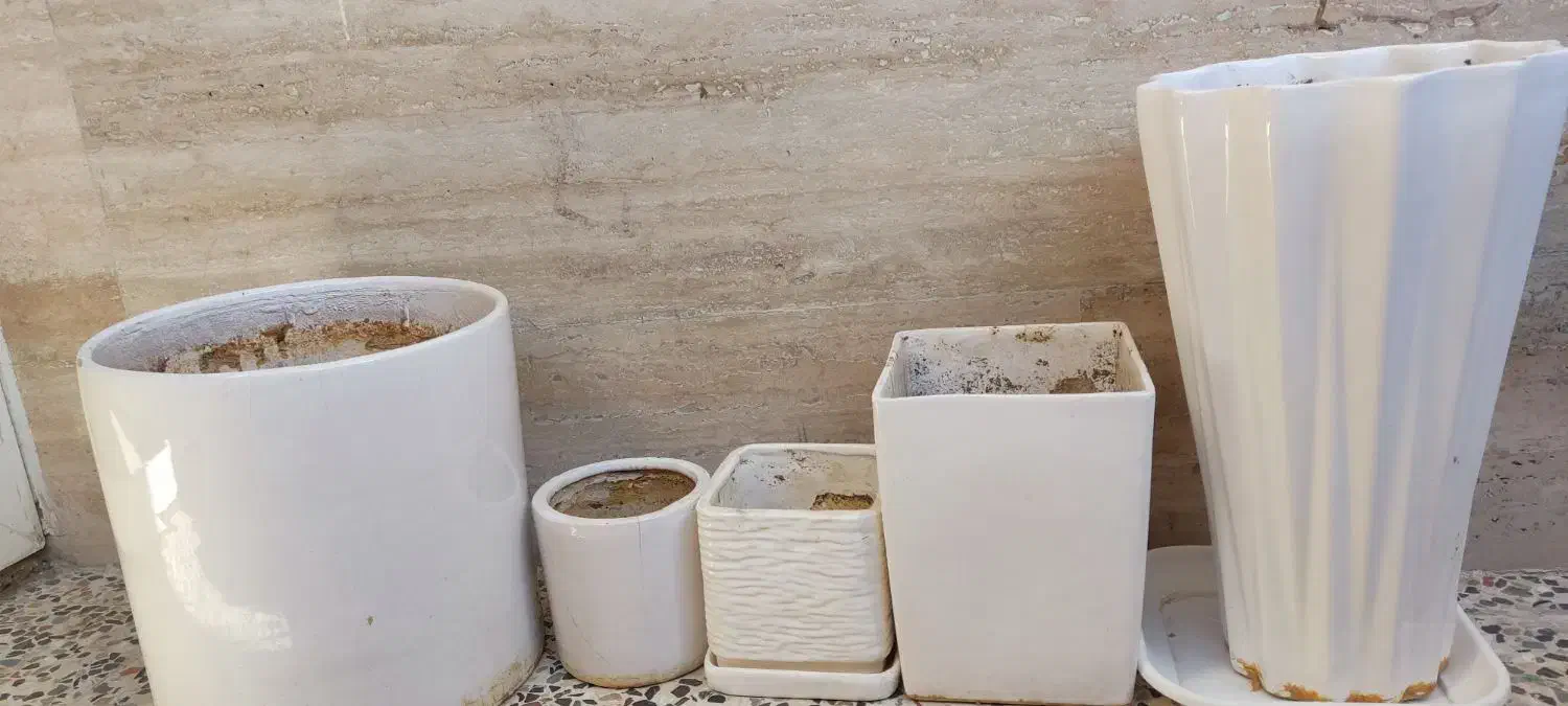 تعدادی گلدان|گل و گیاه طبیعی|شیراز, تحویلی|دیوار