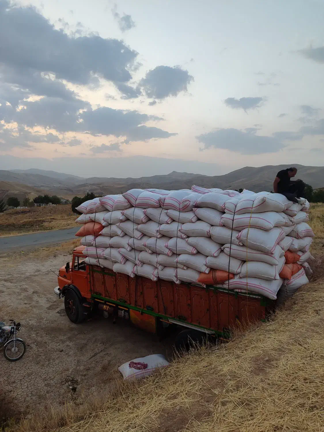 فروش کاه نرم خرمنکوب|خدمات باغبانی و درختکاری|یزد, |دیوار