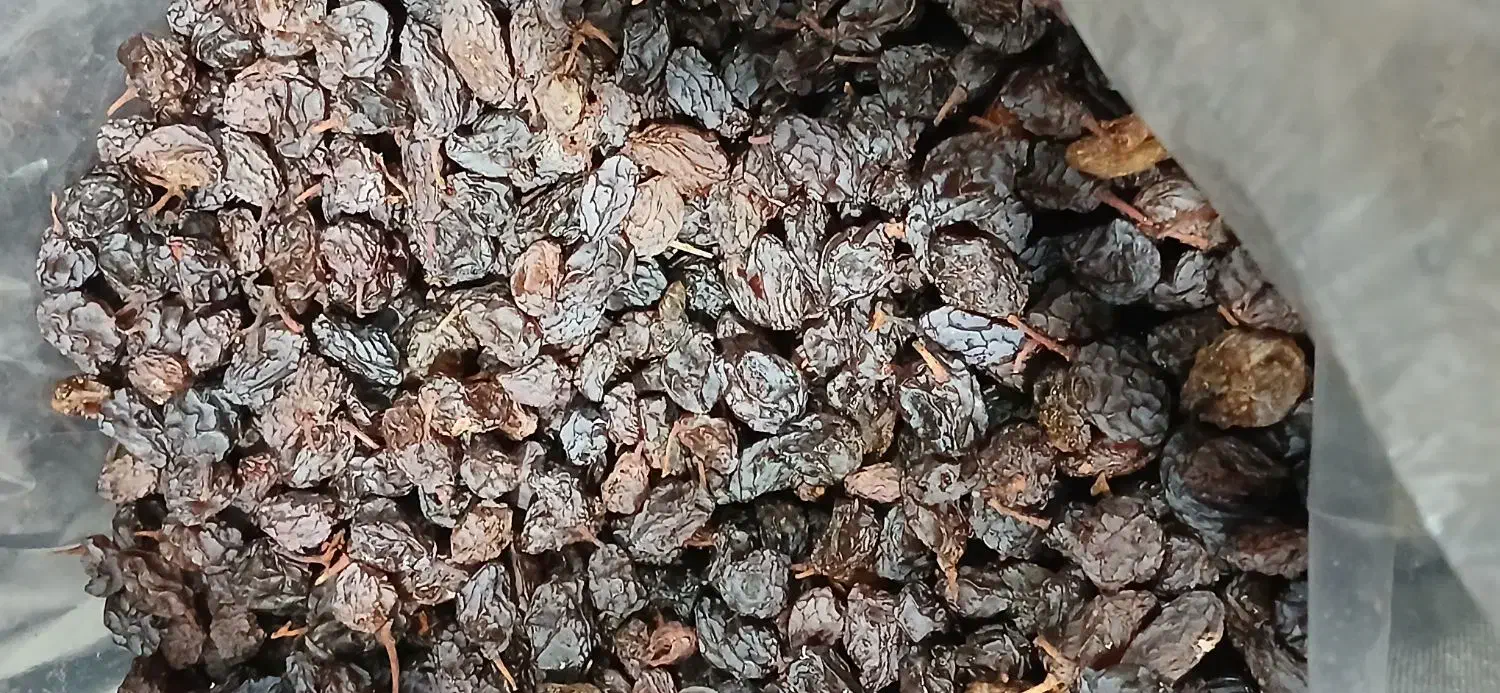 کشمش آفتابی فخری|خوردنی و آشامیدنی|تاکستان, |دیوار