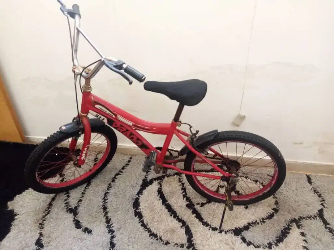 دوچرخه ۱۶ فروشی فوری|دوچرخه، اسکیت، اسکوتر|پاکدشت, پاکدشت (مامازند)|دیوار