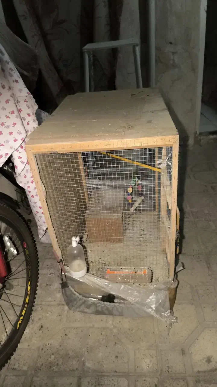 قفس پرنده عروس هلندی وپرندهدهای دیگه|لوازم جانبی حیوانات|کرج, گلدشت|دیوار