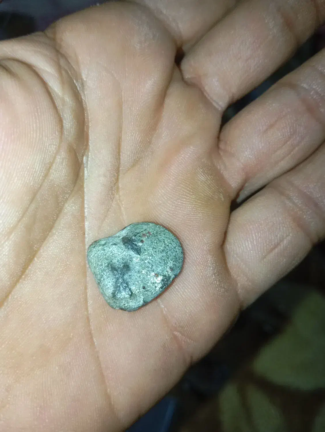 نشان دار|کلکسیون و سرگرمی|شیراز, لب آب|دیوار