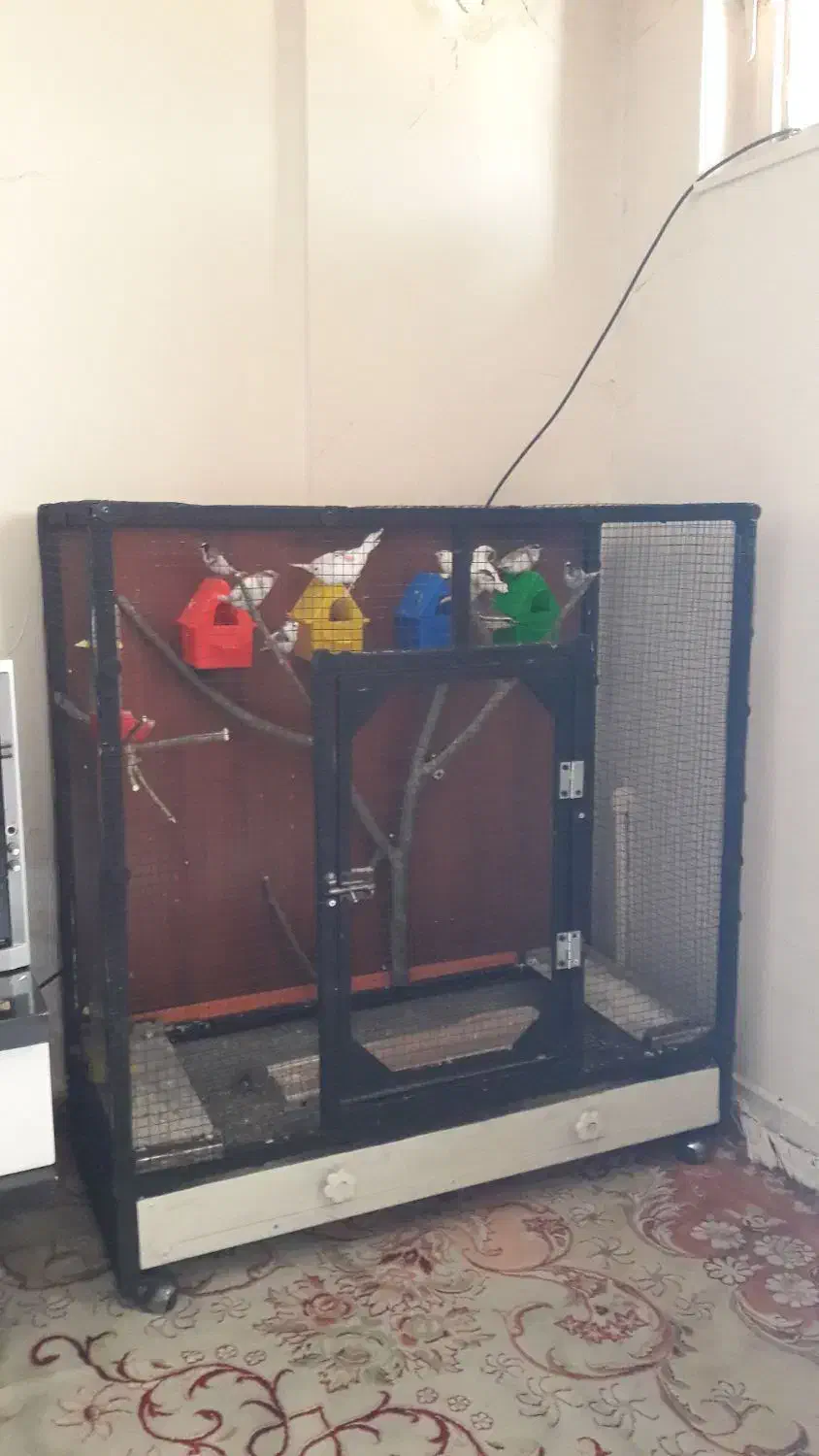 قفس پرنده|لوازم جانبی حیوانات|بروجرد, |دیوار