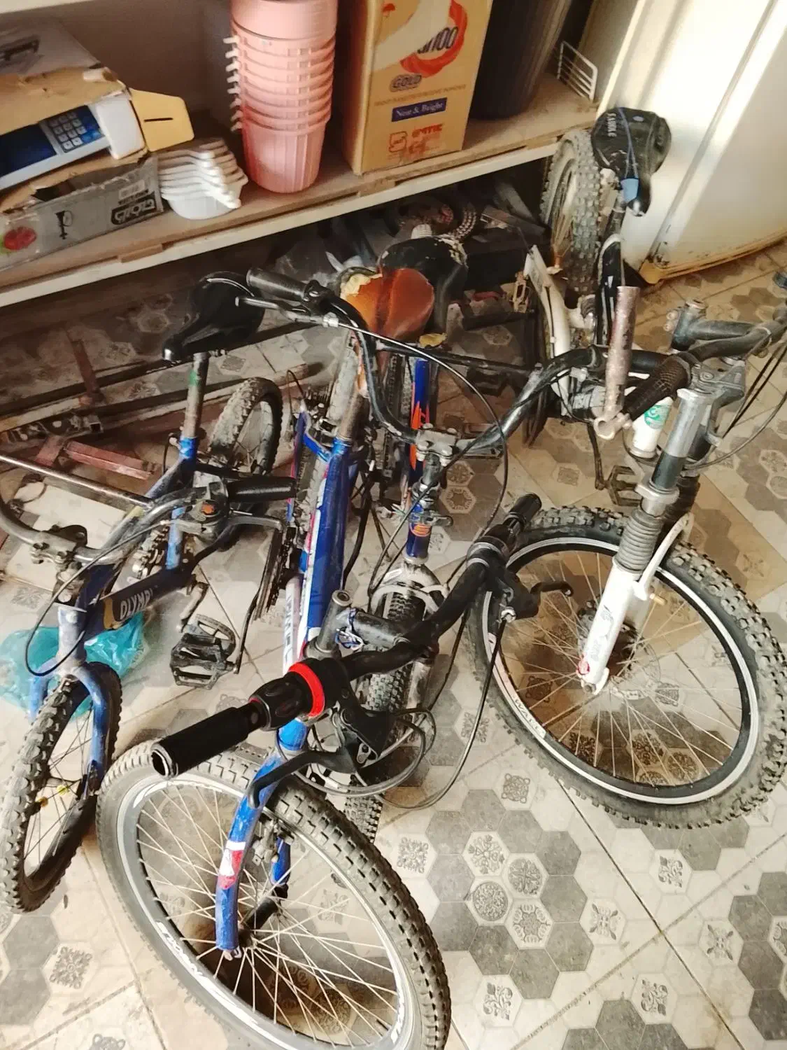 چهار عدد دوچرخه|دوچرخه، اسکیت، اسکوتر|گنبد کاووس, |دیوار