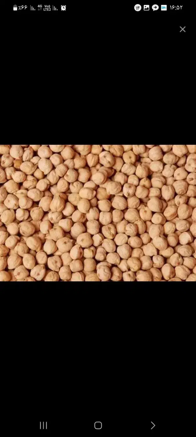 نخور ریز چگنی|خدمات باغبانی و درختکاری|چگنی, |دیوار