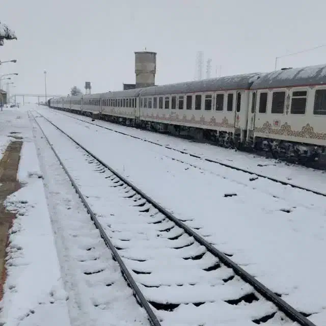 تور مشهد مقدس|تور و چارتر|آران و بیدگل, |دیوار