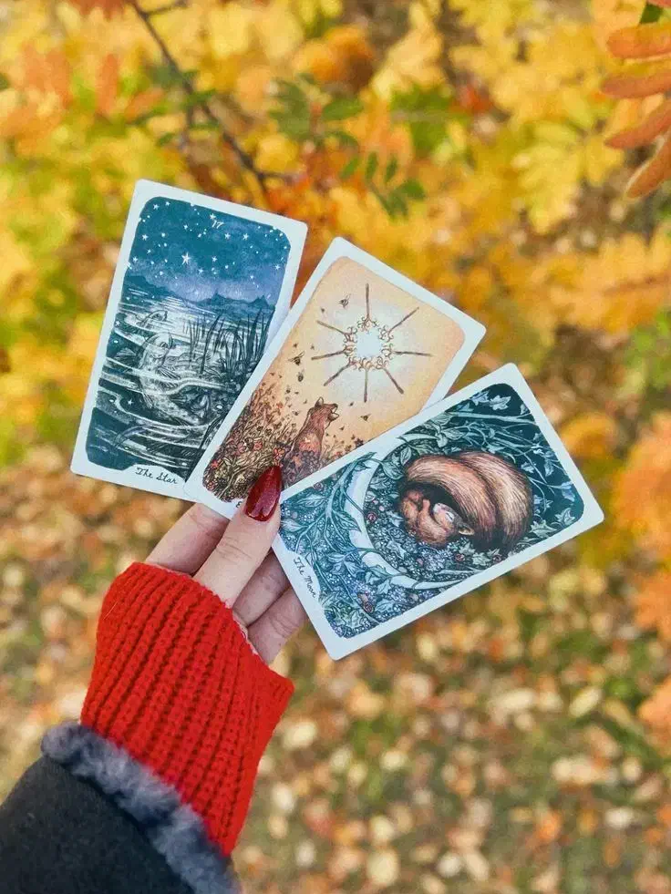 سرکتاب|کتاب و مجله مذهبی|مشهد, سجاد شهر|دیوار