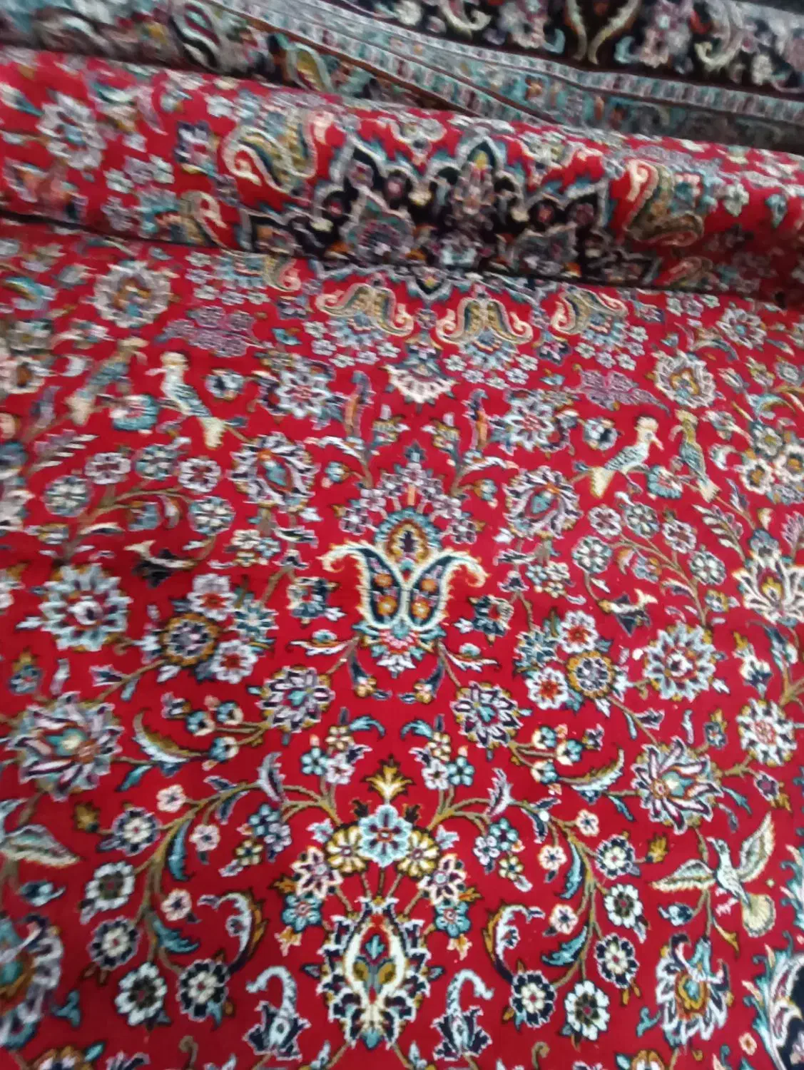 فرش ۱۲متری|فرش|آبیک, |دیوار