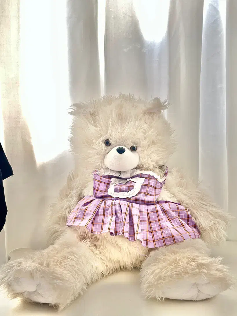 عروسک خرس|اسباب‌‌بازی|خوی, |دیوار