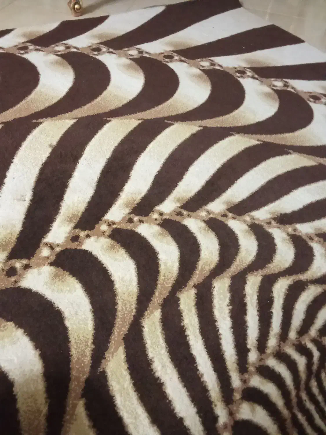 فرش  گلیم قالیچه|فرش|مشهد, جاهد شهر|دیوار