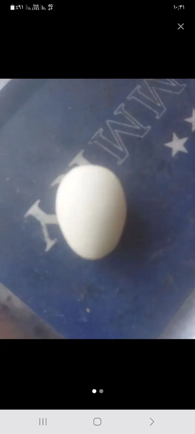 سنگ گوهر شب چراغ|کلکسیون اشیاء عتیقه|داراب, |دیوار