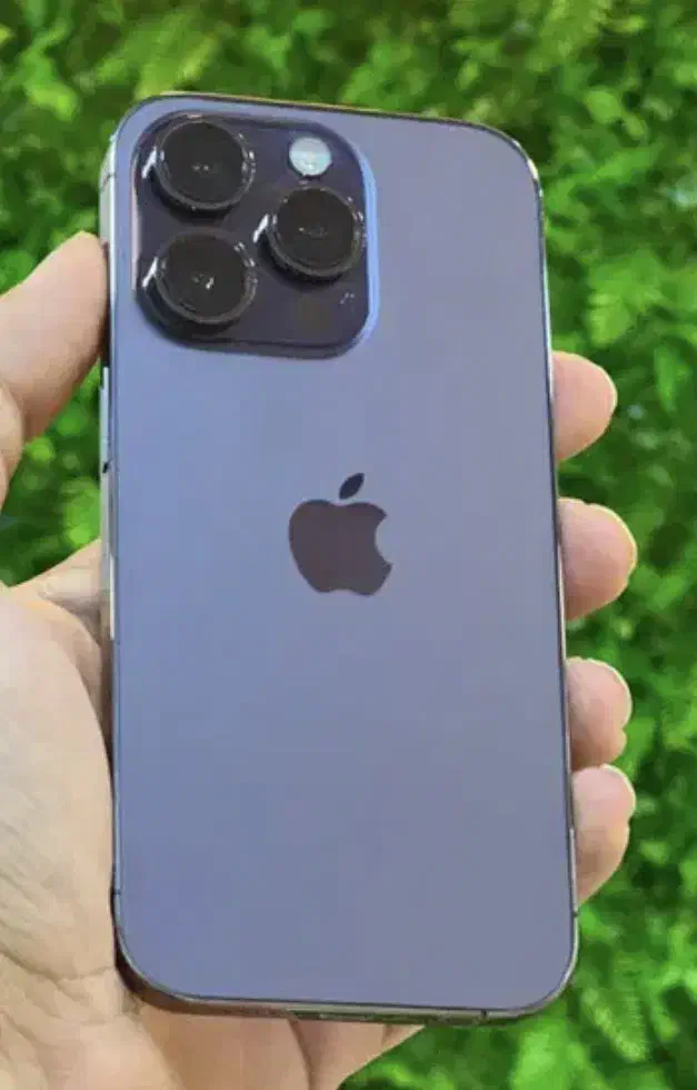 آیفون ۱۴ پرومکس ۲۵۶ دو سیم بدون ریجستر|موبایل|رشت, جانبازان|دیوار