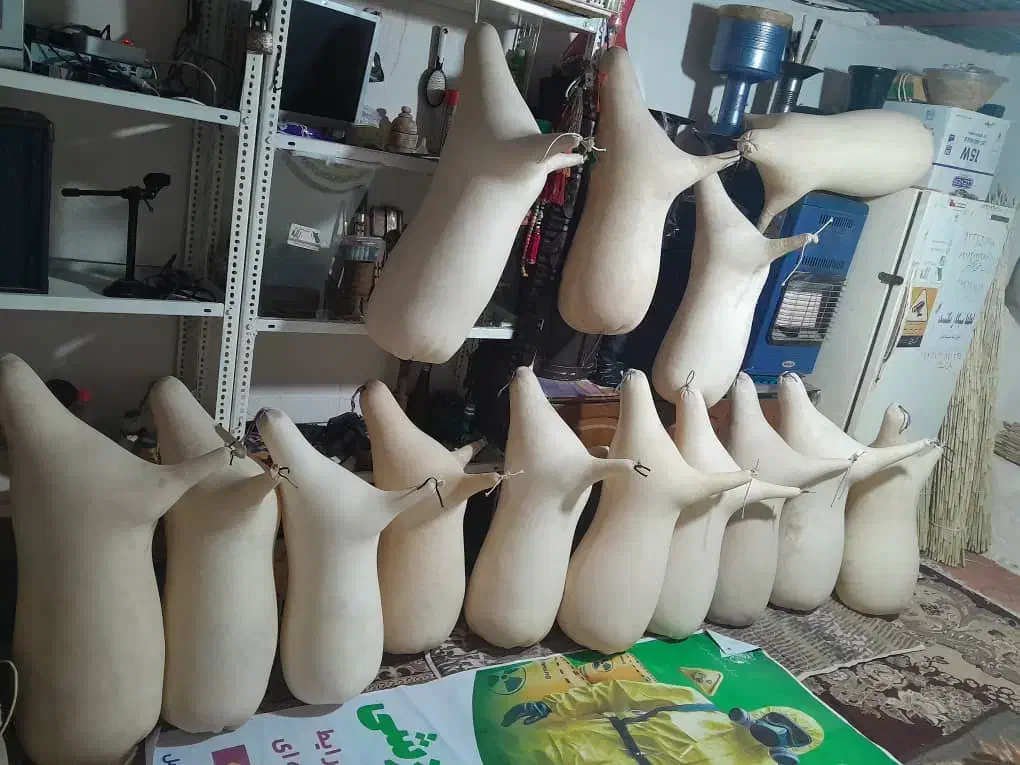 همبونه تک و عمده|سازهای بادی|اهرم, |دیوار