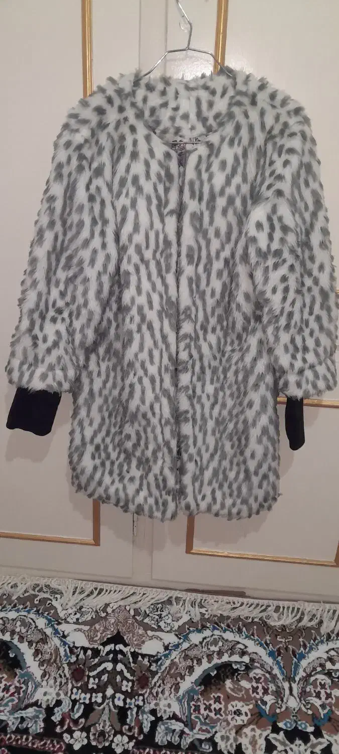 پالتو|لباس|اردبیل, |دیوار