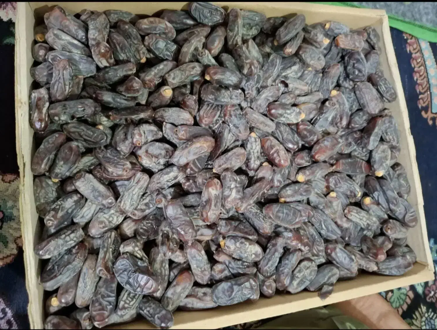 خرما ربی درجه یک|خوردنی و آشامیدنی|ایرانشهر, |دیوار