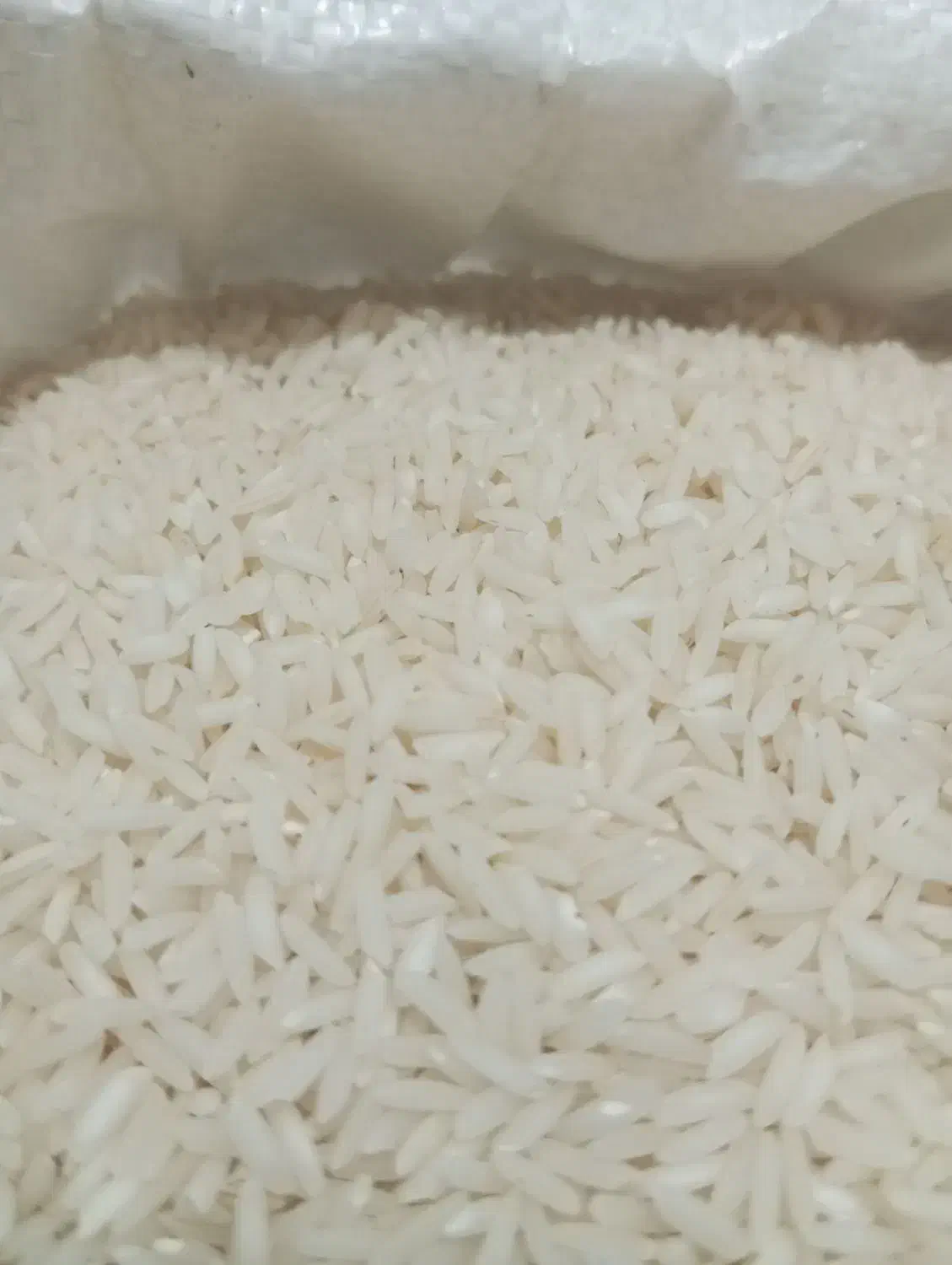 برنج ایرانی، بی واسطه از شالیکار بخرید|خوردنی و آشامیدنی|مشهد, عبادی|دیوار