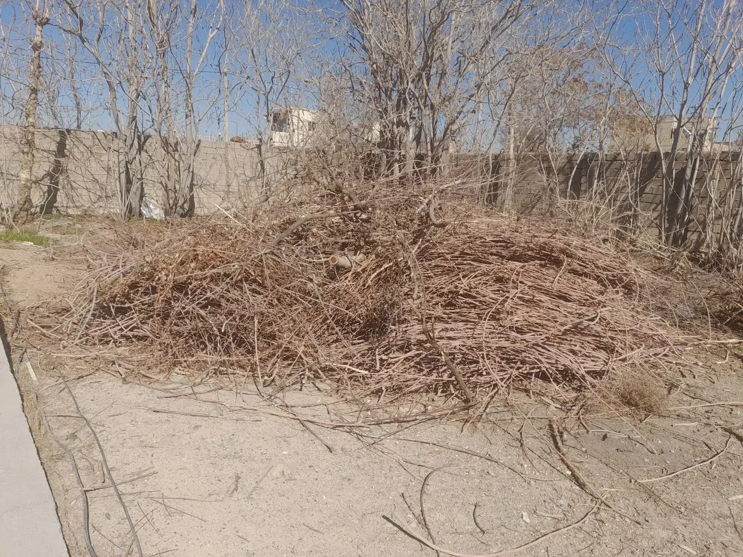 مقداری چوب|خدمات پیشه و مهارت|فلاورجان, |دیوار