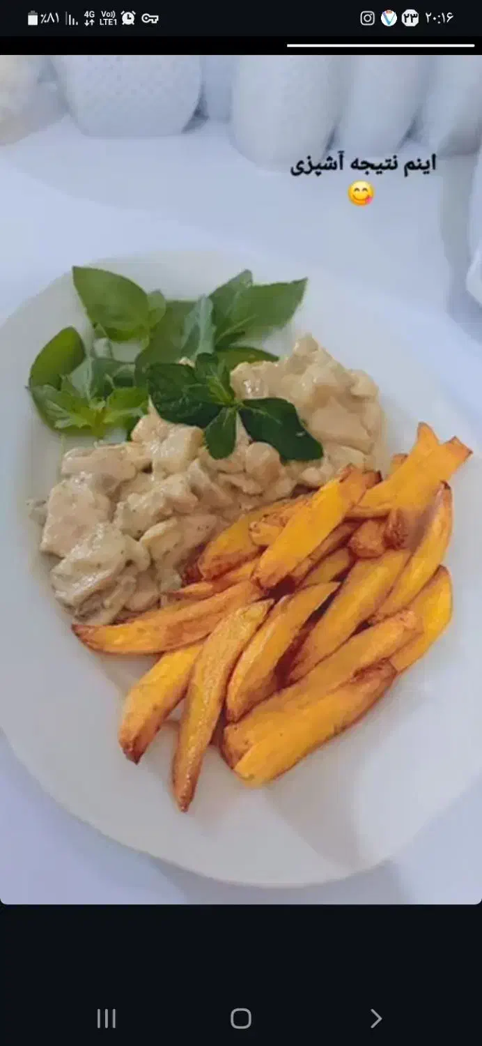 آشپزی|خوردنی و آشامیدنی|مشهد, کوی المهدی|دیوار