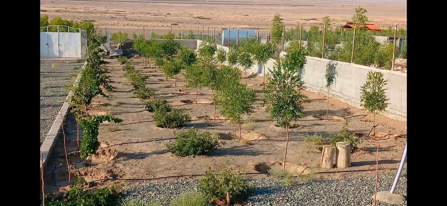 تصویر 2
