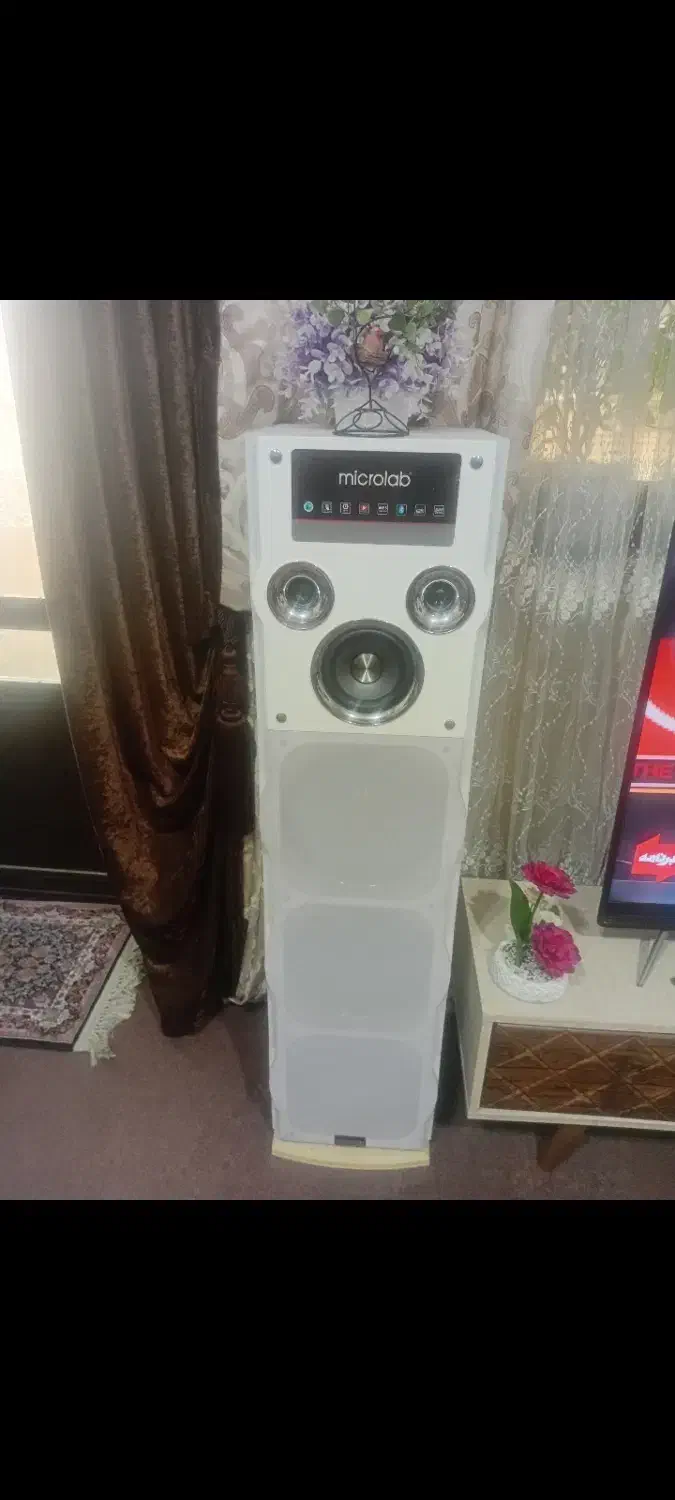 باند بزرگ|سیستم صوتی خانگی|صومعه‌سرا, |دیوار