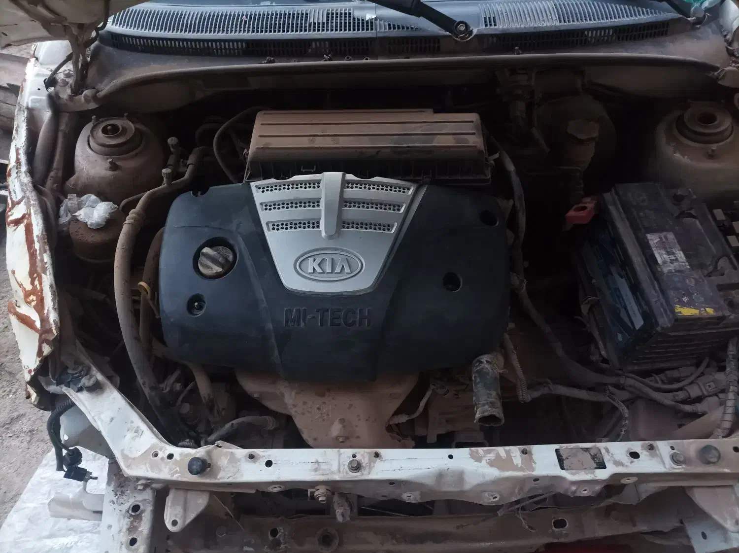 ریو چپی|خودرو سواری و وانت|رفسنجان, |دیوار