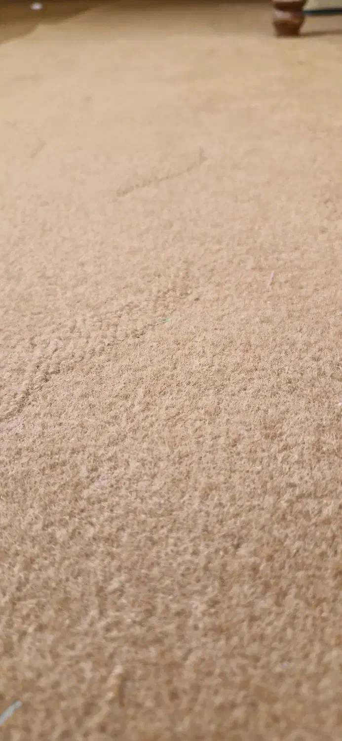 موکت|موکت|جیرفت, |دیوار