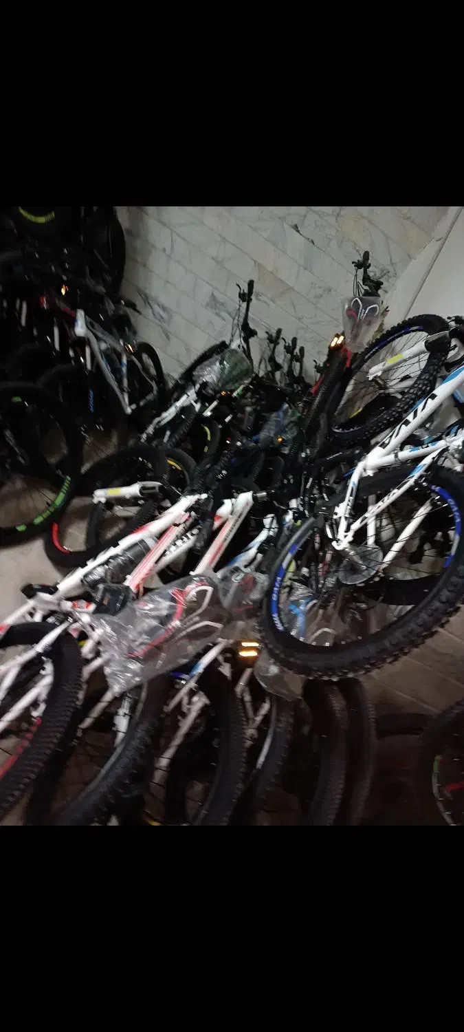 دوچرخه سایز کوچک و بزرگ قیمت کارخانه جشنواره|دوچرخه، اسکیت، اسکوتر|قم, شهرک مهدیه (مدرس)|دیوار