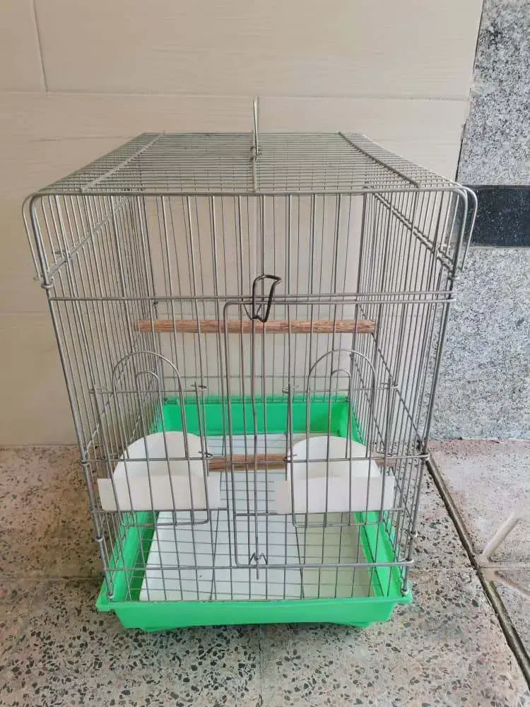 لوازم پرنده|لوازم جانبی حیوانات|ابرکوه, |دیوار